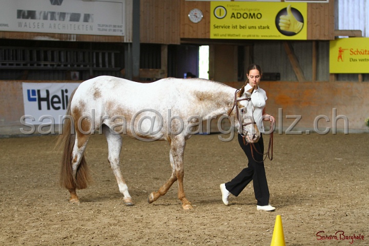 24-ApHC HIH_008.jpg